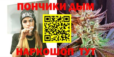 индика Пушкино