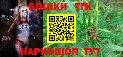 индика Пушкино