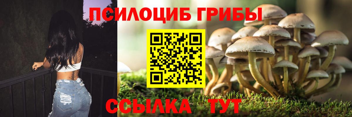 Псилоцибиновые грибы мицелий  Галлюциногенные грибы прущие грибы  Вход с VPN  Алексин 